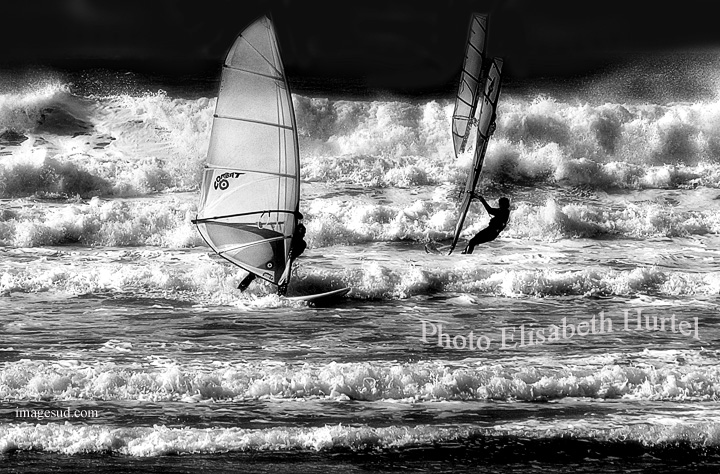Paisaje marino, tablas de vela, olas, en blanco y negro