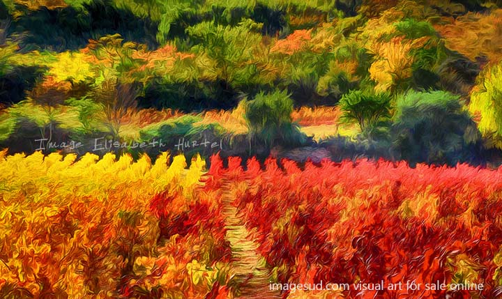 Vignes d'automne, image digitale