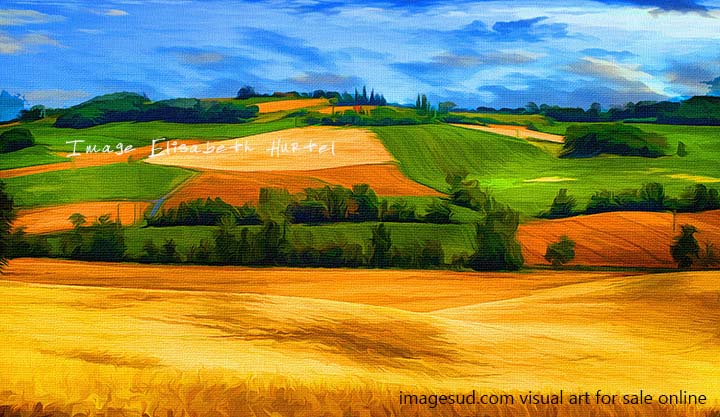 Visual art, digital image for wall art