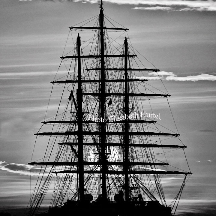 Wall art black and white  46