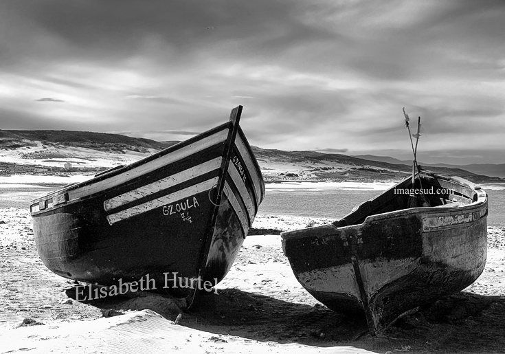 Wall art photography black and white : seascape